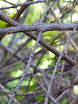 P1000805.JPG