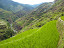 P1020424.JPG