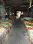P1020453.JPG