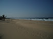 P9120305.JPG