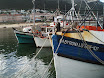 P9070132.JPG