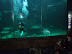 P9050085.JPG
