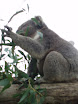 P7270050.JPG