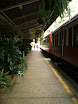 P7140284.JPG