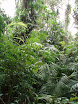 P7140290.JPG
