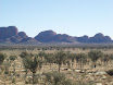 P7190039.JPG