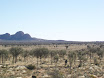 P7190040.JPG