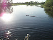 P7060086.JPG