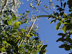 P7080184.JPG