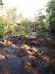 P7090231.JPG