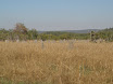 P7090249.JPG