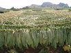 P4230041.JPG