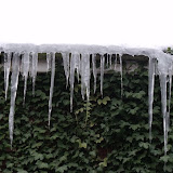2010_0114snow0010.JPG