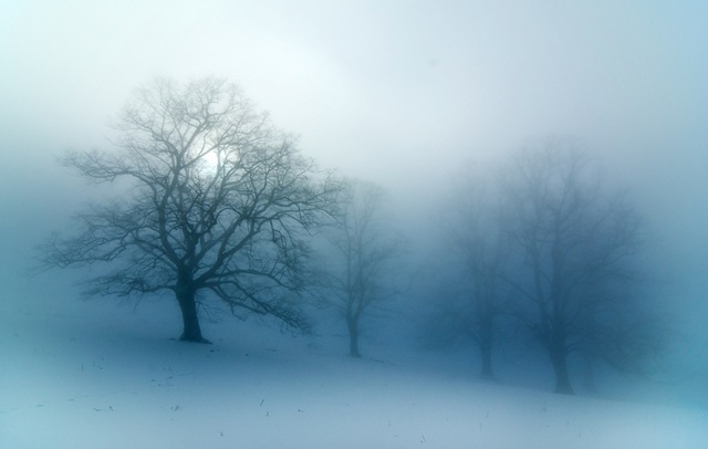 [fog winter[5].jpg]