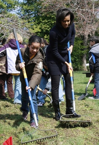 [rake[2].jpg]