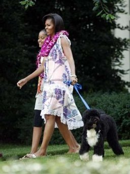 [MO june 25[2].jpg]