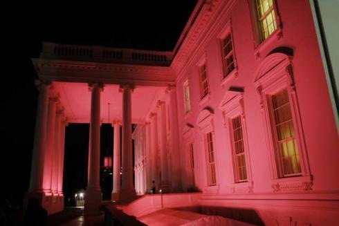 [pink house[3].jpg]