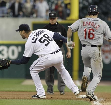 [tigers[4].jpg]