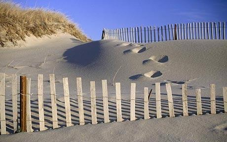 [martha-dune460_1461725c[4].jpg]