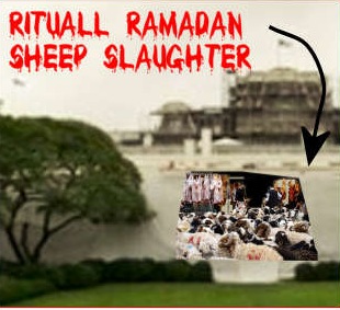 [ramadamsheepslaughter5.jpg]