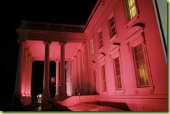 [pink house_thumb[1][3].jpg]