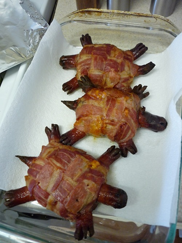 [turtles with hotdog[5].png]