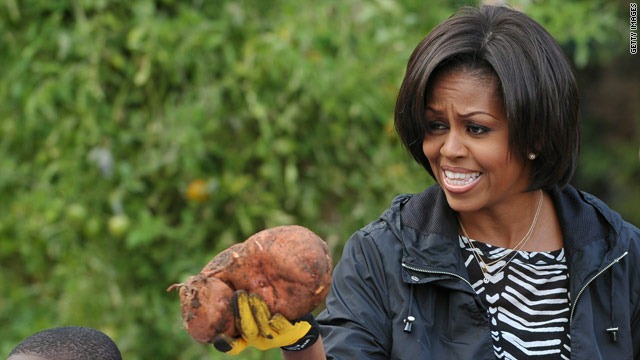[t1larg_michelleobamasweetpotato_gi[3].jpg]