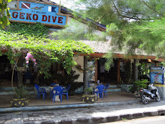 Geko Dive