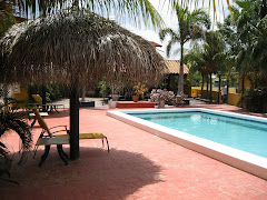 Zwembad bij Yachtclub Apartments