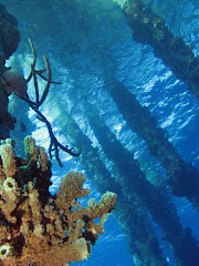 Pijlers van de Salt Pier