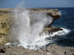 Blowhole in het Washington-Slagbaai Nationaal Park