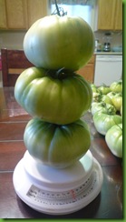 P1010384