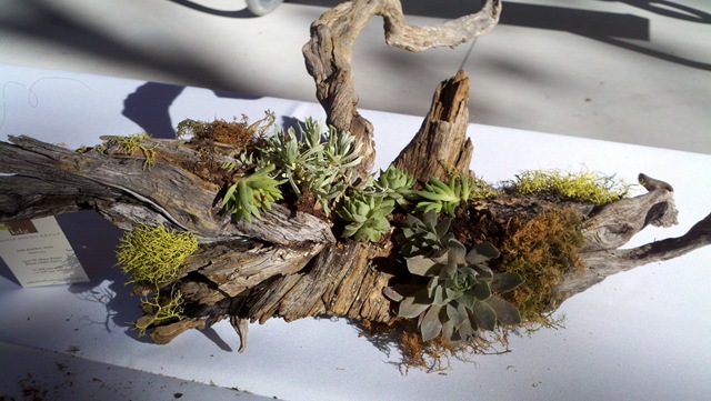 [20100911_171522_42910.jpg]
