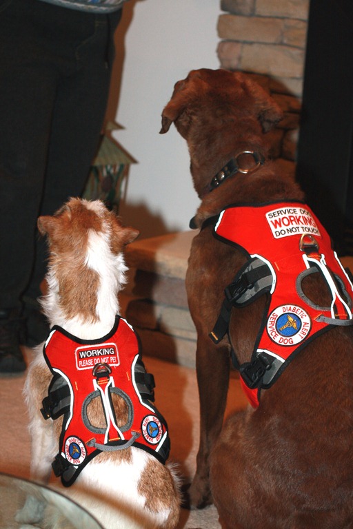 [Christmas 2010 103[8].jpg]