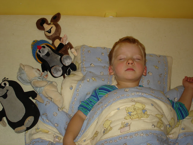 http://lh6.ggpht.com/_DeQzx1pfd1Q/SvLHQPx_AcI/AAAAAAAAMGo/5KkRflm1QiI/s640/DSC01196.JPG