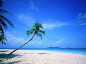 Top 5 Exotic Beaches You Should Visit_www.wonders-world.com_06