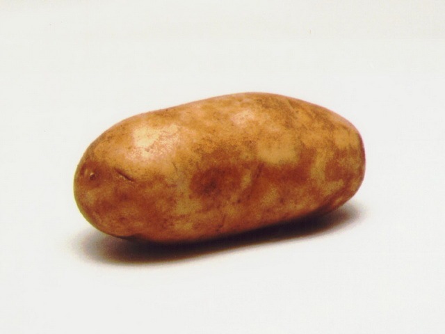 [fruit-vegetables-hight-in-vitamin-c_www.wonders-world.com_03[2].jpg]