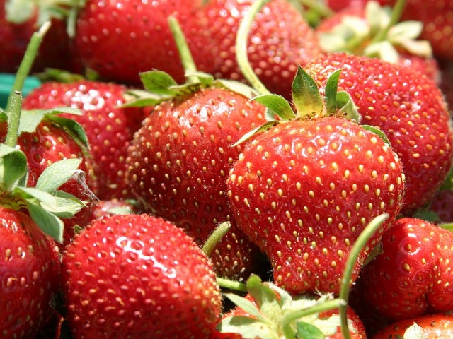 [fruit-vegetables-hight-in-vitamin-c_www.wonders-world.com_05[4].jpg]