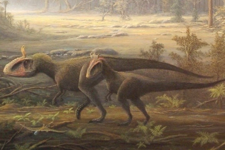 [Cryolophosaurus1[2].jpg]