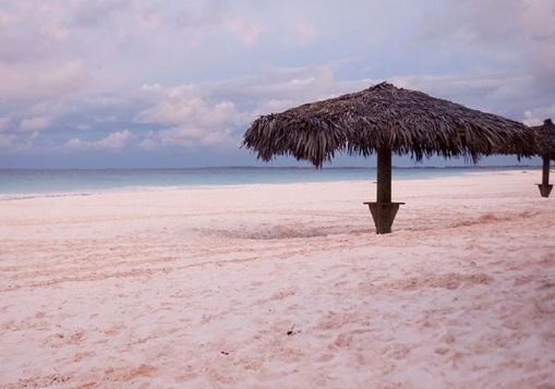Pink sand Pink sand