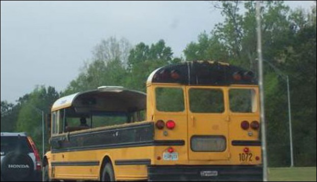 strange yellow school buses strange yellow school buses