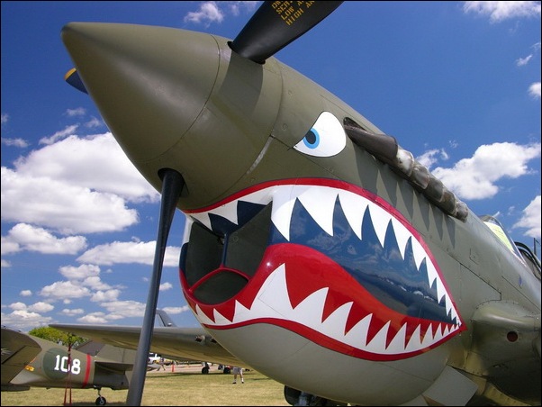 Aircraft Nose Art 09 Aircraft Nose Art 09