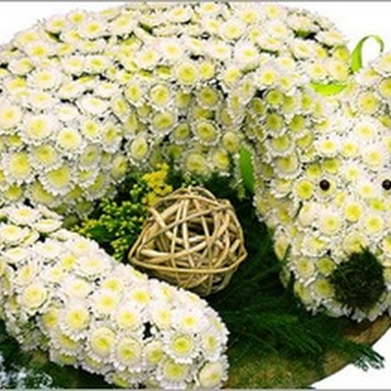 Worlds Beautiful Flower Creations | interesting objects Art