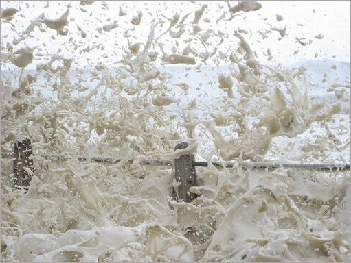 amazing_natural_phenomenon_18 amazing_natural_phenomenon_18