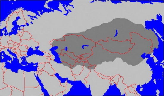 4. Mongol Empire