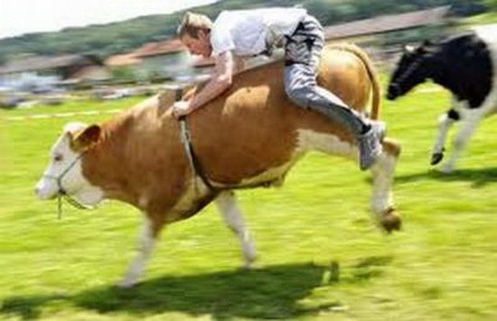 [Funny People riding the wrong animals_03[2].jpg]