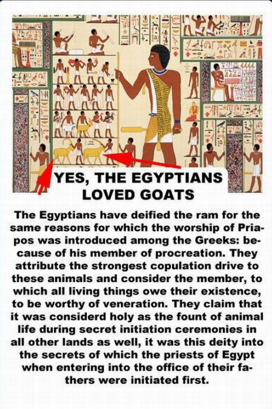 [facts about the goat -2147483642[2].jpg]