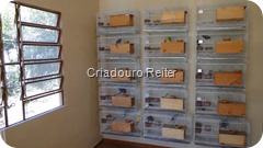 Clique na imagem para Ampliar ! Clique na imagem para Ampliar !