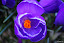 NIKON D3000  1/10s Focal Length: 55.0mm f/5.6 ISO: 400