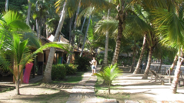 [IMG_33732.jpg]